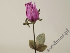 Róża śliwkowa 63cm [AZ01682]