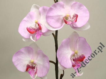 Artificial phalaenopsis in pot 55cm [AZ01855]