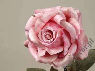 Pink antique rose 59cm [AZ01705]