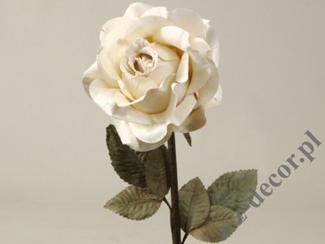 White antique rose 59cm [AZ01165]