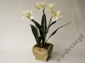 Amaryllis in pot 86cm [AZ02024]