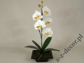 Sztuczna biała orchidea w doniczce 50cm [AZ01549]
