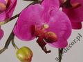 Sztuczna orchidea w doniczce 65cm [AZ01547]