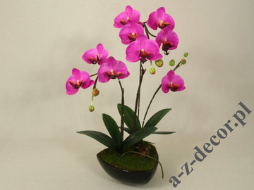 Phalaenopsis in black pot 62cm [AZ01848]