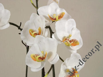 Sztuczna biała orchidea w doniczce 77cm [AZ00326]