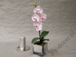 Sztuczna orchidea w doniczce różowa 55cm [AZ01855]