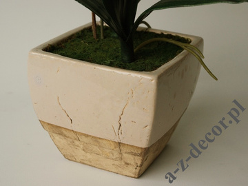 Phalaenopsis in pot 72cm [AZ02017]