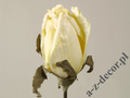 Róża pąk 63cm [AZ01680]