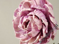 Róża fioletowa 81cm [AZ01678]