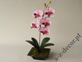 Orchidea w doniczce lawendowa 50cm [AZ02018]