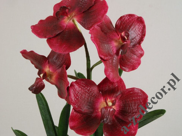 Orchidea Vanda w doniczce bordowa 58cm [AZ01141]