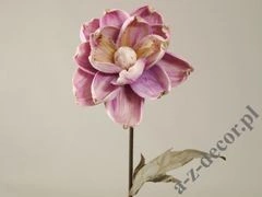 Magnolia 87cm [AZ01686]