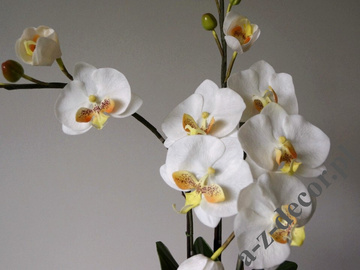 Sztuczna biała orchidea w doniczce 77cm [AZ00326]