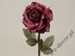 Róża bordowa 59cm [AZ01703]