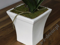 Sztuczna biała orchidea w doniczce 77cm [AZ00326]