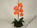 Orange phalaenopsis in pot 50cm [AZ01548]