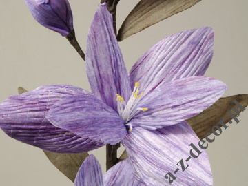 Lilia filoletowa 101cm [AZ01697]