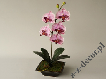 Orchidea w doniczce lawendowa 50cm [AZ02018]