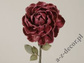 Róża bordowa 81cm [AZ01677]