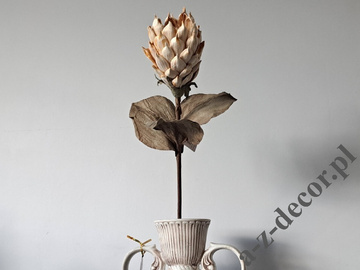 Sztuczna Protea jasno kremowa 88cm [AZ01702]