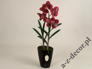 Orchidea Vanda w doniczce bordowa 58cm [AZ01141]