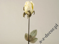 Róża pąk 63cm [AZ01680]
