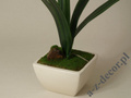 Orchidea w doniczce fioletowa 56cm [AZ01849]