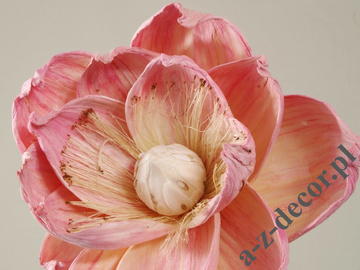 Magnolia różowa 87cm [AZ01685]