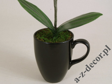 White artificial Phalaenopsis in cup 36cm [AZ01138]