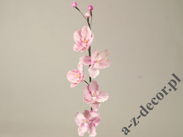 Phalennopsis 104cm [AZ01692]