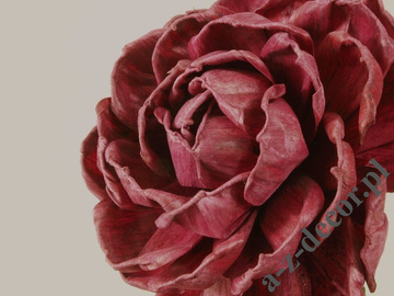 Rose 81cm [AZ01677]