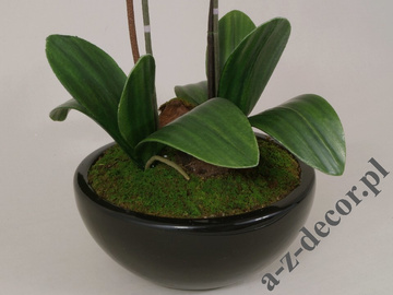 Sztuczna orchidea w doniczce 65cm [AZ01547]
