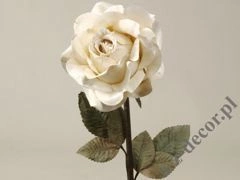 Róża kremowa 59cm [AZ01165]