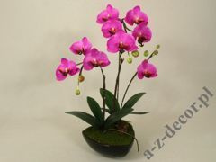 Orchidea w czarnej doniczce lawendowa 62cm [AZ01848]