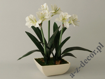Amaryllis in white pot 45x75cm [AZ02016]