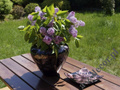 Wazon ceramiczny fioletowy 31cm [AZ01432]