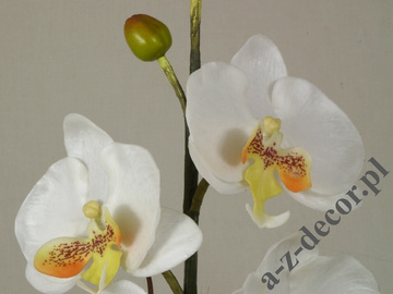 Sztuczna biała orchidea w doniczce 50cm [AZ01549]
