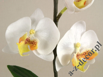 Biała sztuczna orchidea w kubku 36cm [AZ01138]