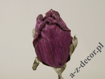 Róża bordowa 63cm [AZ01679]