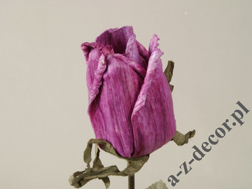 Róża śliwkowa 63cm [AZ01682]