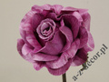 Róża fioletowa 59cm [AZ01706]