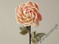 Rozwinięta sztuczna róża 78cm [AZ01684]