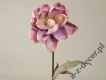 Magnolia fioletowa 87cm [AZ01686]