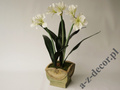 Amaryllis in pot 86cm [AZ02024]