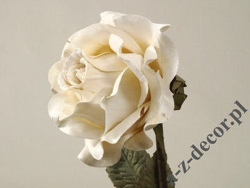 Róża kremowa 59cm [AZ01165]