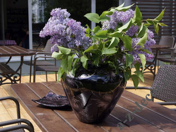 Violet ceramic vase 31cm  cm [AZ01432]