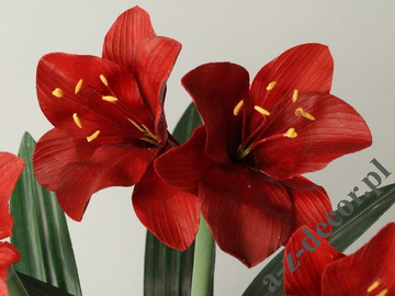 Amaryllis in black pot 45x75cm [AZ02015]