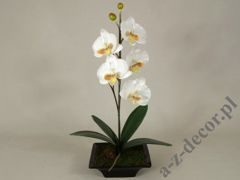 Sztuczna biała orchidea w doniczce 50cm [AZ01549]