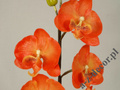 Orchidea w doniczce pomarańczowa 50cm [AZ01548]
