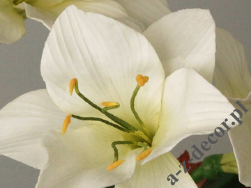 Amaryllis in white pot 45x75cm [AZ02016]